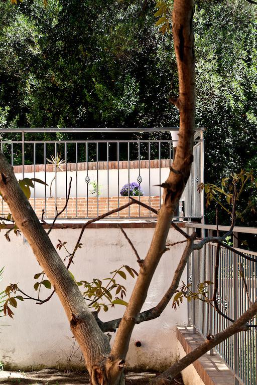 I Tre Pini Apartment Pollica Ngoại thất bức ảnh